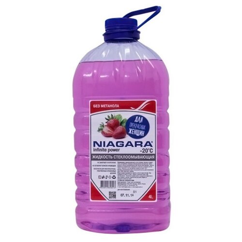 Жидкость для стеклоомывателя NIAGARA 001015007008, -20°C, 4 л
