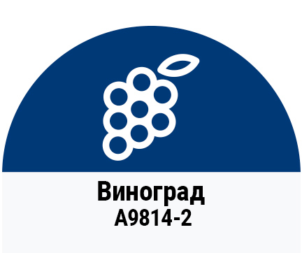 Виноград матовая a9814-2