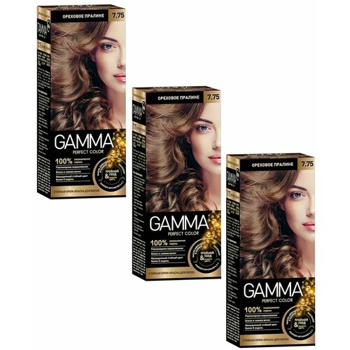 GAMMA Perfect color Краска для волос 7.75 Ореховое пралине набор 3шт