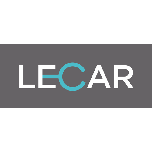 LECAR LECAR000051912 Подкрашивающая эмаль с кистью, цвет коричневый (Ангкор 246), 10 мл. LECAR LECAR000051912