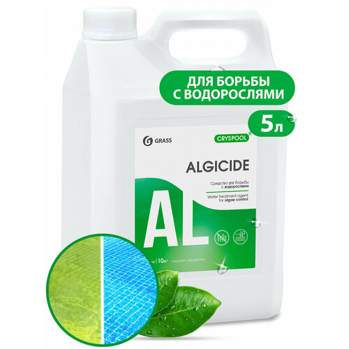Средство для бассейна "Algicide" для борьбы с водорослями уп/5кг