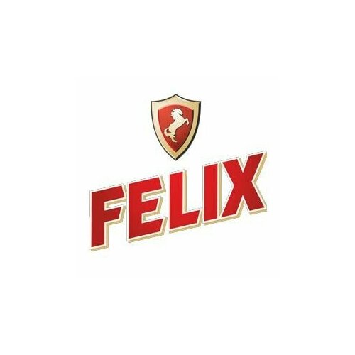 FELIX FELIXCARBOX5KG FELIX CARBOX 5KG_антифриз т. м. Тосол (красный) 5 к