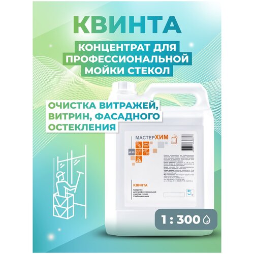 Концентрат профессиональный для мытья стекол квинта 5кг