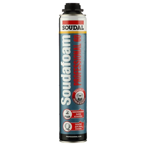 Пена монтажная профессиональная Professional 60 летняя 750 мл