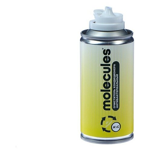 Антибактериальный очиститель кондиционера Molecules Air Cleaner MLS009